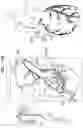 Fig. 30 - Tissue anchors with hemostasis seal