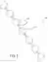 Fig. 03 - Knotless closure sutures and methods of tissue fixation