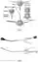 Fig. 03 - Purse suturing device for hollow viscus