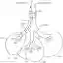 Fig. 01 - Collateral flow channel sealant delivery methods and systems