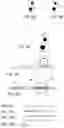 Fig. 04 - System, kit and apparatus for attachment of external fixators for bone realignment