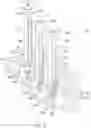 Fig. 04 - Deformable device for minimally invasive fixation