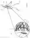 Fig. 17 - TEMPERATURE SENSING ARRAY FOR SET SCREW INFECTION