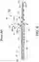 Fig. 06 - Peri-vascular tissue access catheter with locking handle