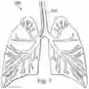 Fig. 14 - Systems and methods for using a robotic medical system