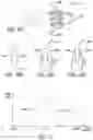 Fig. 24 - Surgical instrument with robotic and manual actuation features