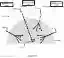 Fig. 11 - IMPLANTABLE MARKERS TO AID SURGICAL OPERATIONS
