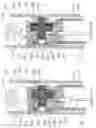 Fig. 12 - Positioning apparatus for biomedical use