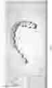 Fig. 11 - Common Placement Support for Artificial Teeth
