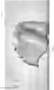 Fig. 12 - Common Placement Support for Artificial Teeth