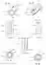 Fig. 06 - Electrical body care brush