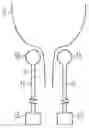 Fig. 01 - Method and apparatus for fixation of implantable devices adjacent a body lumen