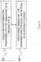 Fig. 06 - Ophthalmic device having opaque and decentered light-transmissive portions for alleviating symptoms relating to ocular diseases