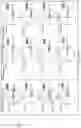 Fig. 08 - Ophthalmic device having opaque and decentered light-transmissive portions for alleviating symptoms relating to ocular diseases