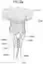 Fig. 03 - Prosthetic heart valve and systems and methods for delivering the same