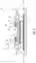 Fig. 13 - Absorbent article with pocket dividing front and rear regions