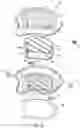 Fig. 07 - Pneumatic chair jack