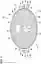 Fig. 04 - Bodily remains decomposition