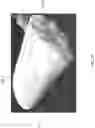Fig. 07 - CASKET PILLOW WITH ADJUSTABLE LOFT