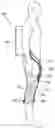 Fig. 01 - Suit type exoskeleton adjustable to user's body size and suit type exoskeleton for knee power assistance
