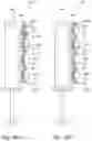 Fig. 34 - MODULAR DOSING ASSEMBLY OF MEDICAL SUBSTANCES