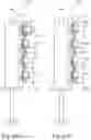 Fig. 40 - MODULAR DOSING ASSEMBLY OF MEDICAL SUBSTANCES