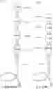 Fig. 87 - MODULAR DOSING ASSEMBLY OF MEDICAL SUBSTANCES