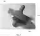 Fig. 02 - Pacifier assembly device