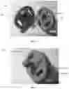 Fig. 06 - Pacifier assembly device
