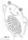 Fig. 02 - TEETHER