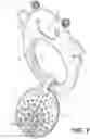 Fig. 04 - TEETHER