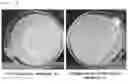 Fig. 03 - Makeup cosmetic composition containing capsules containing pigments