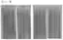 Fig. 07 - Makeup cosmetic composition containing capsules containing pigments