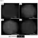 Fig. 03 - Capsules comprising pigments, and method for producing same