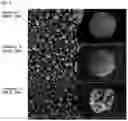 Fig. 06 - Capsules comprising pigments, and method for producing same