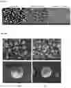 Fig. 09 - Capsules comprising pigments, and method for producing same