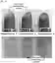 Fig. 12 - Capsules comprising pigments, and method for producing same