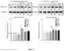Fig. 02 - METHOD FOR TREATING MYOPIA AND APPLICATION IN PREPARATION OF MEDICAMENT