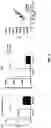 Fig. 03 - METHOD FOR TREATING MYOPIA AND APPLICATION IN PREPARATION OF MEDICAMENT