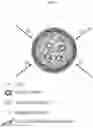 Fig. 03 - STABLE MACROEMULSION FOR ORAL DELIVERY OF SOLUBILIZED PEPTIDES, PROTEIN, AND CELLULAR THERAPEUTICS