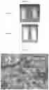 Fig. 09 - STABLE MACROEMULSION FOR ORAL DELIVERY OF SOLUBILIZED PEPTIDES, PROTEIN, AND CELLULAR THERAPEUTICS