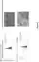 Fig. 03 - Liposomal particles, methods of making same and uses thereof