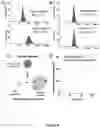 Fig. 09 - Liposomal particles, methods of making same and uses thereof