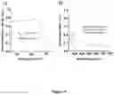 Fig. 10 - Liposomal particles, methods of making same and uses thereof