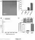 Fig. 11 - Liposomal particles, methods of making same and uses thereof