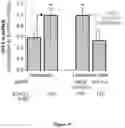Fig. 19 - Liposomal particles, methods of making same and uses thereof