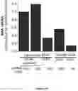Fig. 20 - Liposomal particles, methods of making same and uses thereof