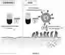 Fig. 03 - LIPOSOMAL COMPOSITIONS AND SOLID ORAL DOSAGE FORMS COMPRISING THE SAME
