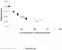 Fig. 08 - COMPOSITIONS AND METHODS OF MANUFACTURING PROTEIN MICROPARTICLES