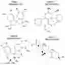Fig. 01 - Inhibition of respiratory complex III by ligands that interact with a regulatory switch
